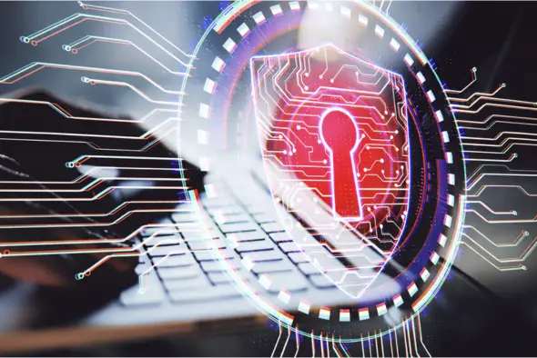 Application Security Assessment Service by SecureWaveAdvisors